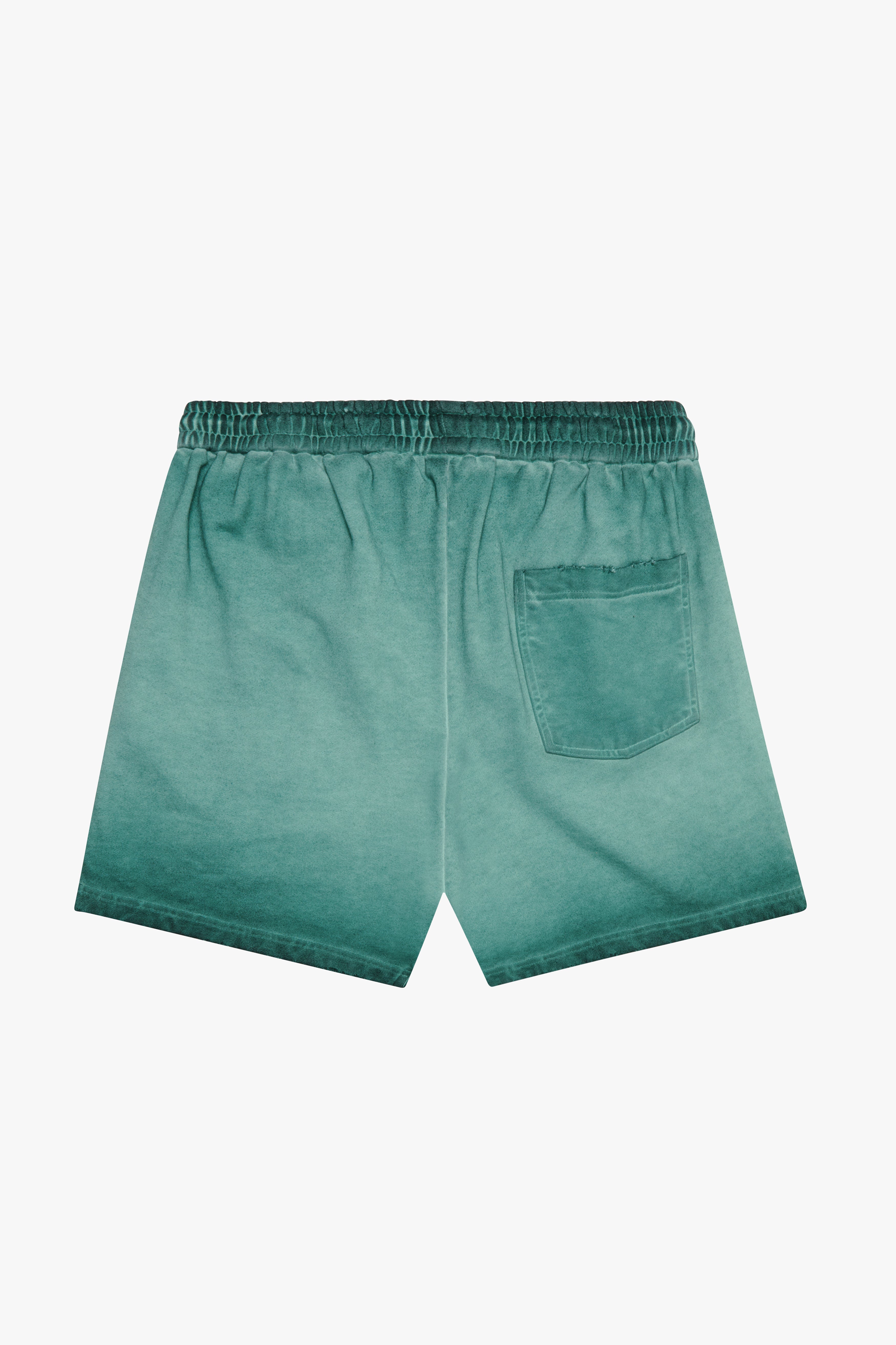 6thNBRHD SHORTS "ESNTL 2.0" VINTAGE GREEN